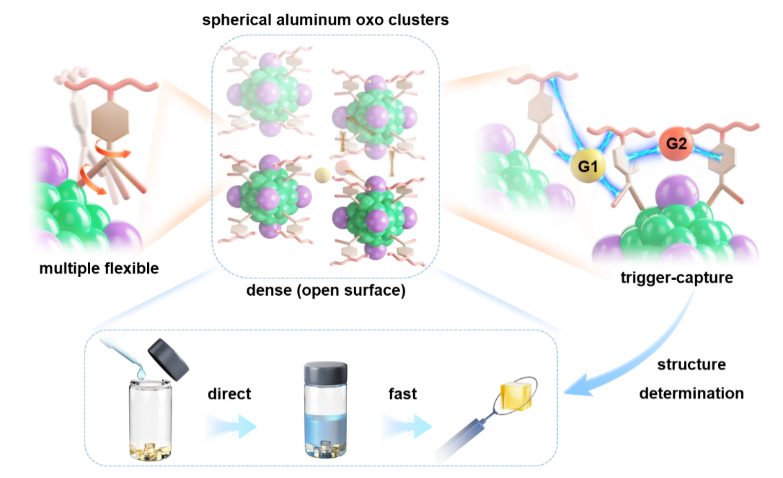 福建物構(gòu)所球形鋁氧團簇的表面主客體化學(xué)取得新進展